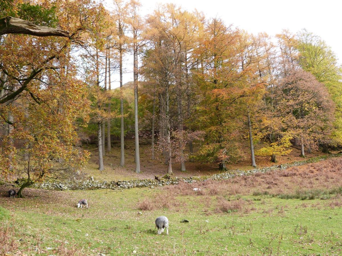 Maple - Woodland Cottages Боунес-он-Уиндермер Экстерьер фото